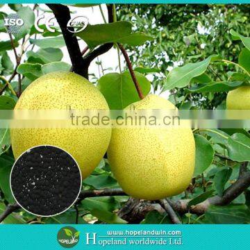 Fruit trees organic fertilizer -RSSC fertilizer