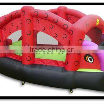 Inflatable bounce