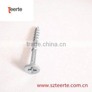 China Screw Manufacture Stainless Steel Deck Screw photo-5