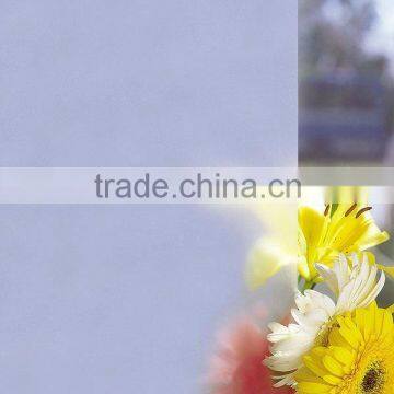 4-6mm Acid Glass/acid float glass/inside decorative glass