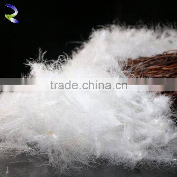 Beautiful White Duck Feather for Sale