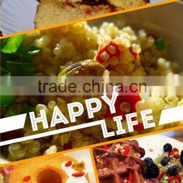 Gojihome Goji Berries, Oversea Market Usage of Ningxia Goji Berries Wolfberries Dried Goji Health Benefits Chinese Wolfberry photo-5