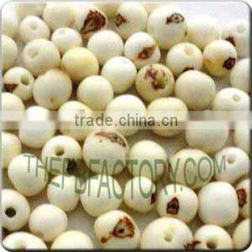 Natural Acai Beads