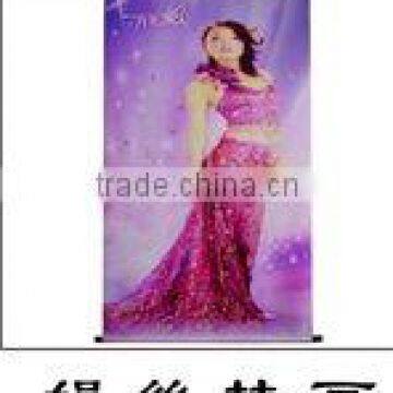 Glossy Silky Satin Cloth for layouts artists