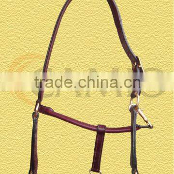 Leather padded Halter 1"one buckle on head piece