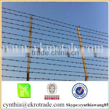 cheap electro galvanized barbed wire for fence