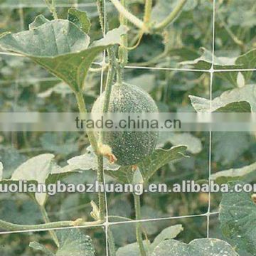 Plastic Climbing Support Net For Plant