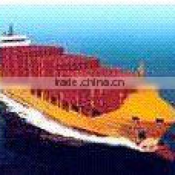 high quality sea shipping service in China