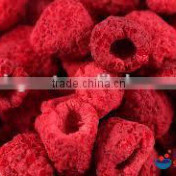 FD Dried Fruits-Frozen Dried raspberry whole with best price