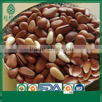 Constant Supply Acid Digestion Shelled Coated Open Pine Nuts in Shell