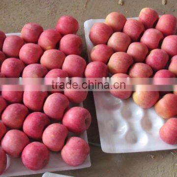 Grade AA Juicy,sweet Red Fuji Apple photo-3