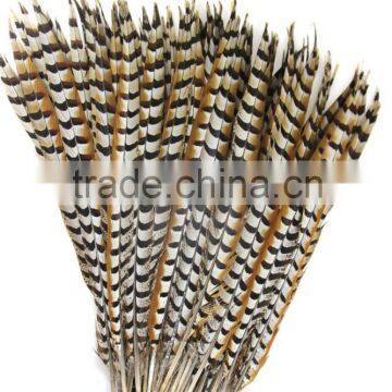 No.1 Manufactor ZPDECOR Best Selling Cheap Long Natural 60-70cm Length Reeves Venery Pheasant Tail Feathers photo-3
