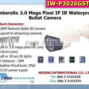 IW-P3026GST Network IR Bullet Surveillance Camera