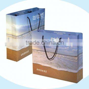 2013 new paper promotional bag