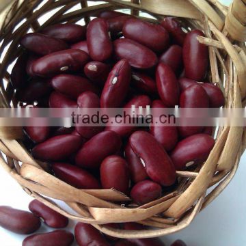 Dark Red Kidney Bean( British type, Heilongjiang origin.hps)