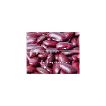 New Crop Thailand Red Kidney Beans - Long shape British 190-200 Count