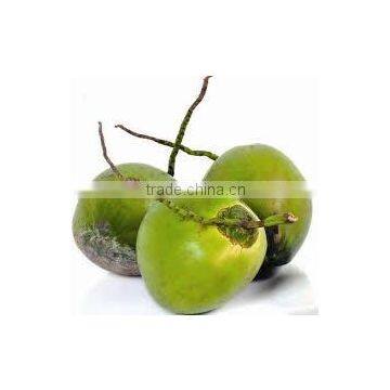 Indian Matured High Quality photo-3