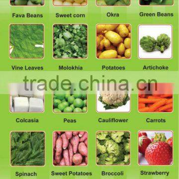 Frozen Vegetables ( Beans - Peas - Carrots - Broccli- Okra - Molokhia - Spanich -French fries )