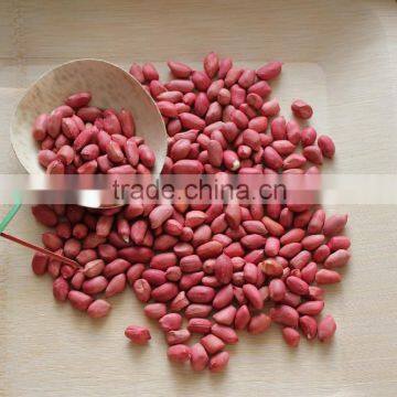 New Crops Red Skin Peanut Kernel photo-2