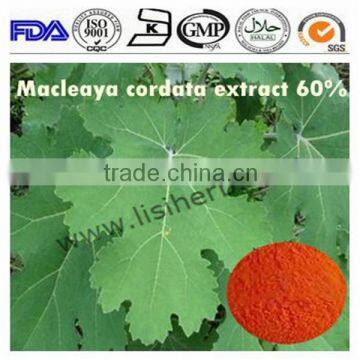 Manufacture supply high quality Feed additive Macleaya Cordata Extract sanguinarine 40% chelidonine 20%