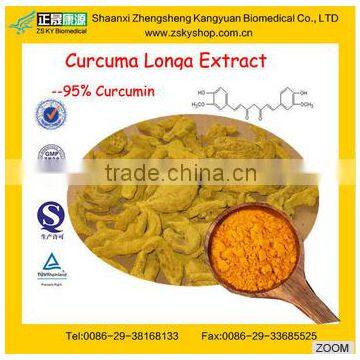 Turmeric Curcuma Extract 95% Curcumin from GMP manufacturer