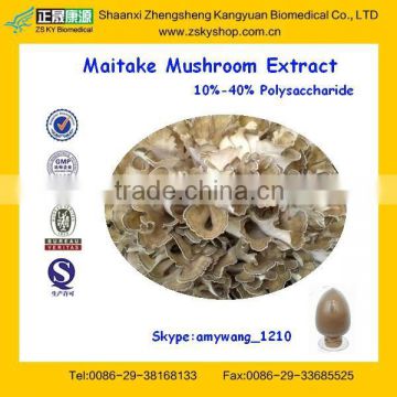 GMP Factory supply Maitake Mushroom Extract with 10%-40% Polysaccharide