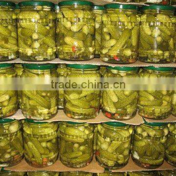 Vietnam Fresh Baby Pickled Cucumbers in Jar 3-6cm in Glass Jar 720ml or 1500ml by HAGIMEX photo-2
