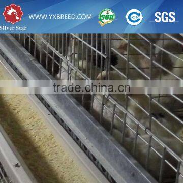 hot galvinized metal poultry chicken cages