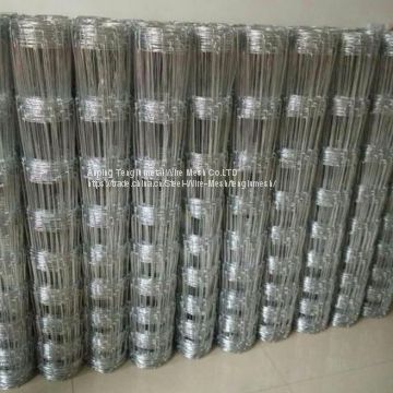 Hot-Dipped Galvanized Wire Farm Fence