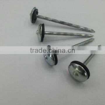 Roofing Nail/ Galvanized roofing nail/ Umbrella Head Roofing Nail