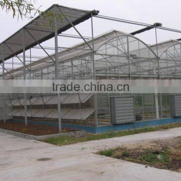 Arch Pipes Poly Multi-span Greenhouse for Vegetables photo-6