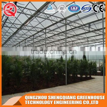 Vegetable and flowers poly tunnel glass greenhouse made in China