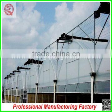 Hot sale 9.6m multi-span agricultural plastic film greenhouse with cheap price