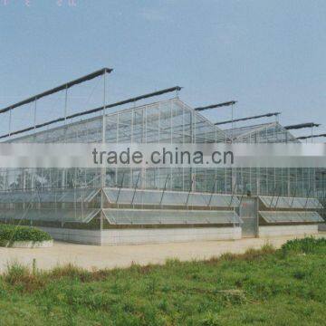 Sunshine glass greenhouse ecological agriculture