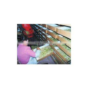 Dried Mealworms/Tenebrio Molitors for Pets photo-3