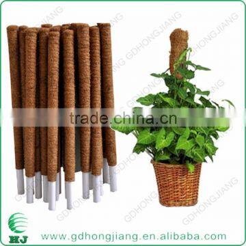 Coir Stake for Climbing Plant Support photo-2