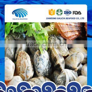 Fresh Frozen Boiled Baby Clam Shell-On