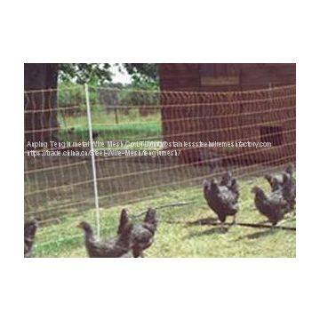 Chicken Wire Netting