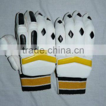 Cricket Batting Gloves