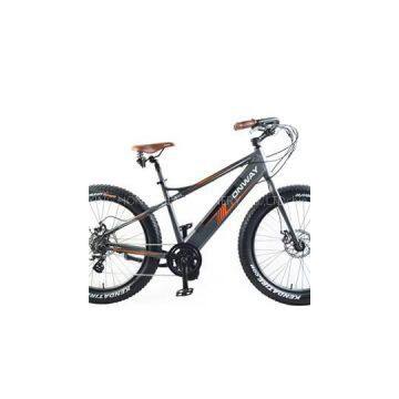 Central Motor Fat-Tyre E-Bike(HF-261503C)