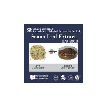 high quality orgnanic 20% Senna Leaf Extract