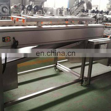 Full Automatic Fruits and Vegetables Washing and Drying Machine Production Line photo-4