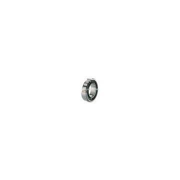 Cylindrical Roller Bearing SC050615VC3 C3 Automotive 25x62x15.5mm