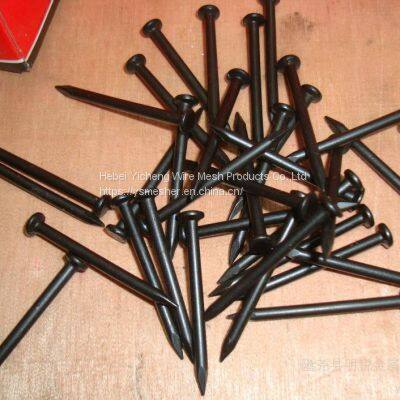 Good Quality Galvanized White Zinc Square Boat Nail Nails China Concrete photo-4