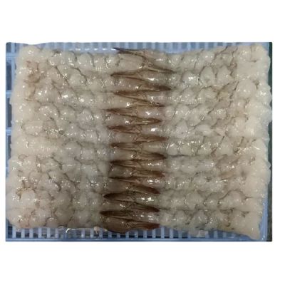 China Competitive Price Frozen Hoso Vannamei Shrimp