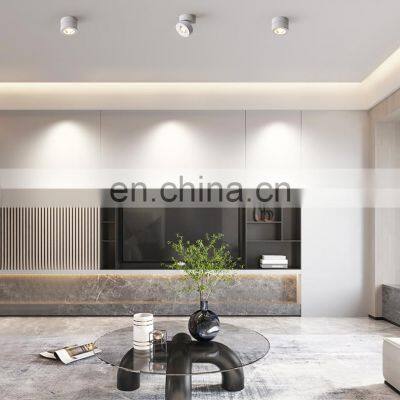 Surface Mounted Metal LED Black And White Ceiling Lamp Nordic Cloakroom Decoration Ceiling Lighting photo-4