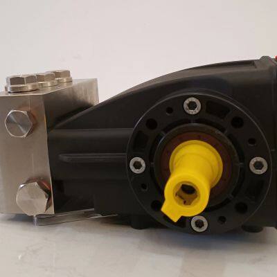 Stainless Steel Pump Dispenser Industrial Pressure Washer Machine Seawater Desalination High Pressure Pump photo-2