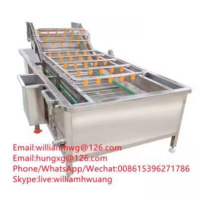 Vegetable Washing and Drying Line Carrot Orange Fruit Cabbage Cleaning Machine