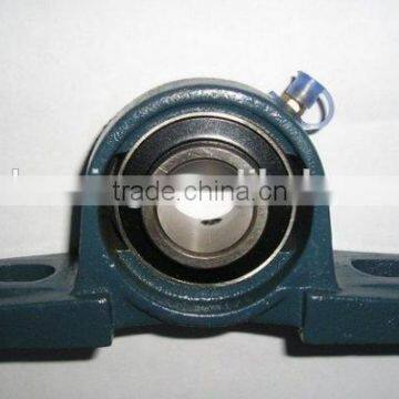 China Bearing Supplier High Quality Competitive Price UCP 300 Series