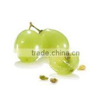 Cold Press Grape Seed Cake